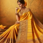 Introducing Sareewalah: Elevate Your Style with Timeless Elegance