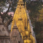 Journey to Enlightenment: Unveiling the Spiritual Majesty of Kashi Vishwanath Temple