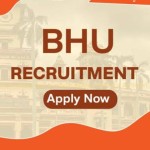 BHU Recruitment 2024: Young Professional-I Position at Banaras Hindu University’s Department of Genetics and Plant Breed