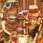 Kashi Vishwanath's Divine Adornment: Devotees Overjoyed, Experience the Darshan from Home