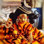 Kashi Vishwanath Temple Presents New Custom: Joining Laddu Gopal and Lord Vishweshwar in a Divine Festival