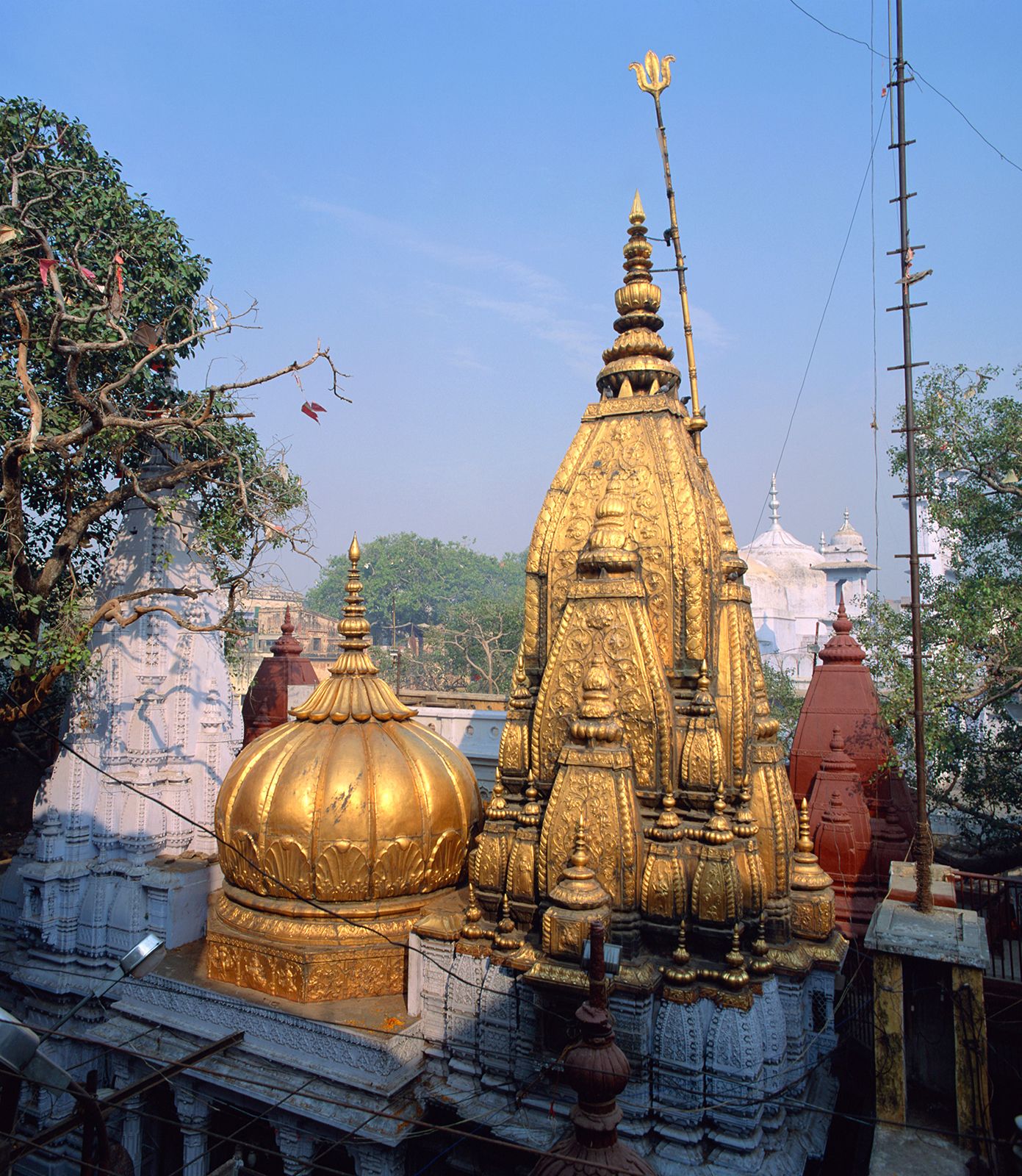 vishwanath-holy-temple-vananasi-hindu-uttar-pradesh-india